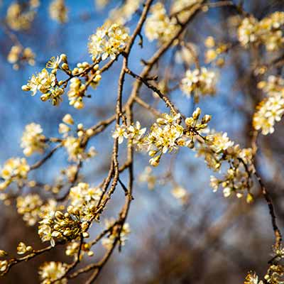 PWV Hördt Treidlerweg Premiumweg